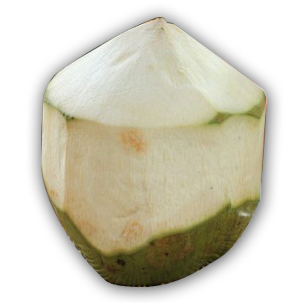 Frische Kokosnus ganz - Dừa tươi nguyên quả