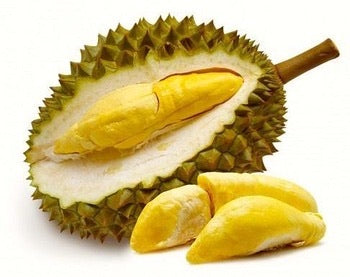 Durian tiefgekühlt - Sầu riêng đông đá